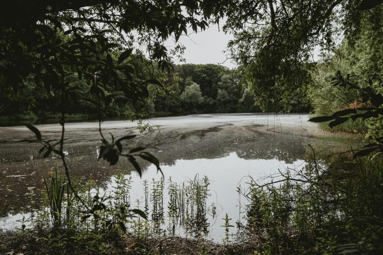 Boshuisje Rekem - Topo Lanaken Extérieur photo